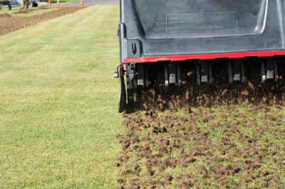 Enhances root growth.