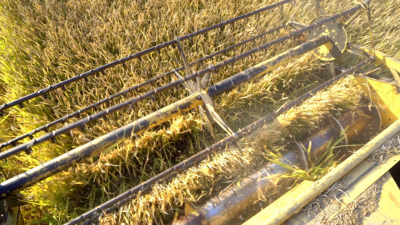 Aeration Service