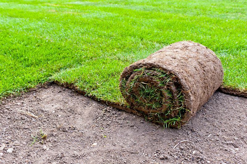 Bentgrass Sod Installation in Ventura County, CA