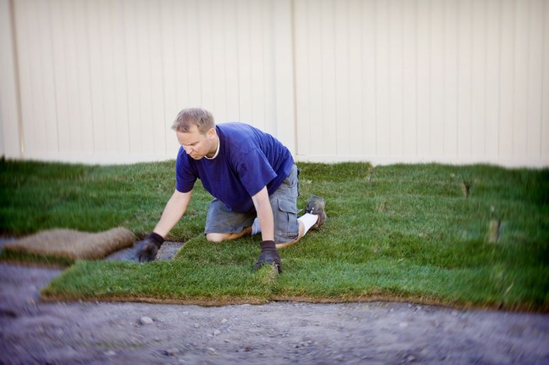 Bluegrass Sod Installation in Rockwall, TX