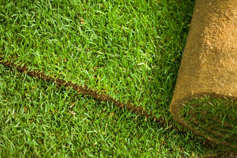 Commercial Sodding in Honolulu, HI
