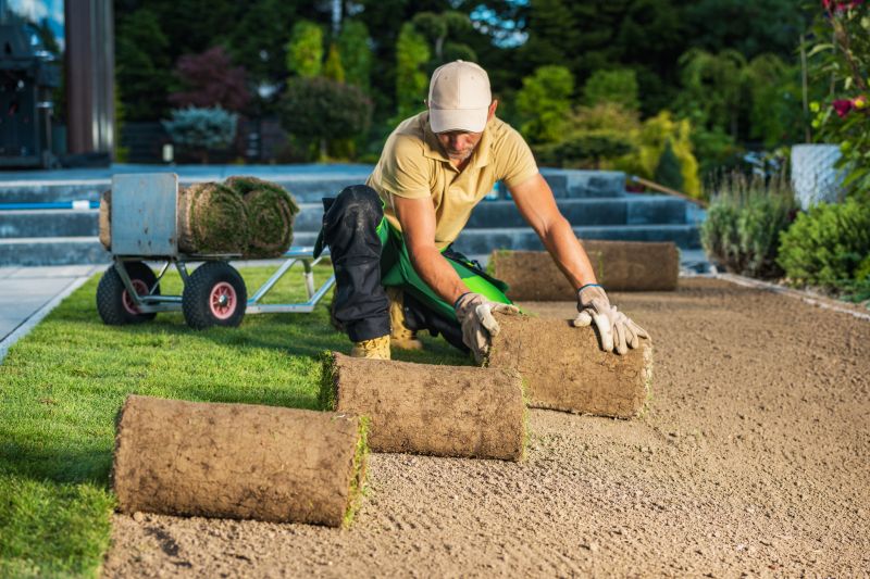 Grass Replacement in Rockwall, TX