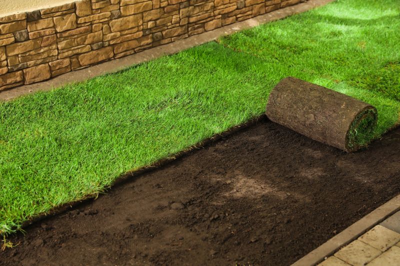Grass Replacement in Honolulu, HI