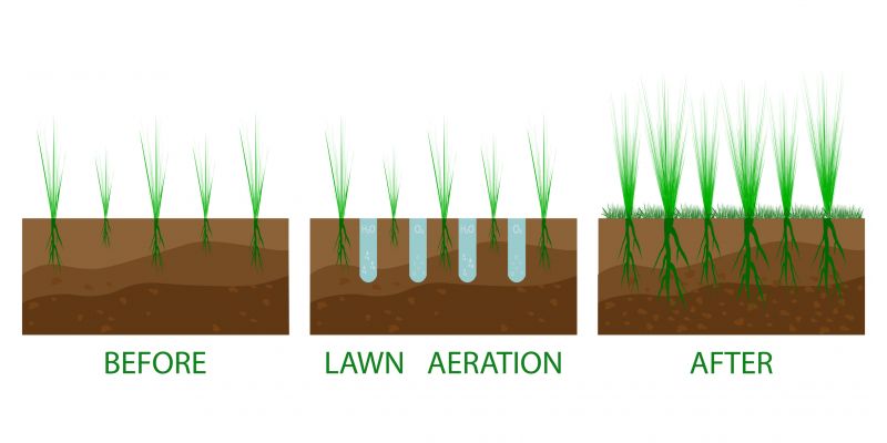 How To Tell When Your Lawn Needs Aeration