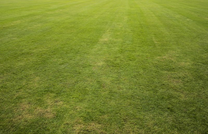 Lawn Installation in Honolulu, HI