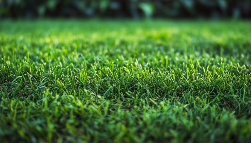 Lawn Sodding in Rockwall, TX