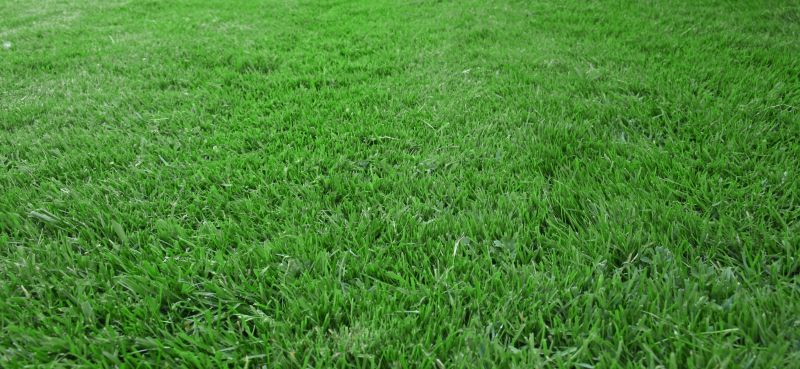 Residential Grass Seeding in Honolulu, HI