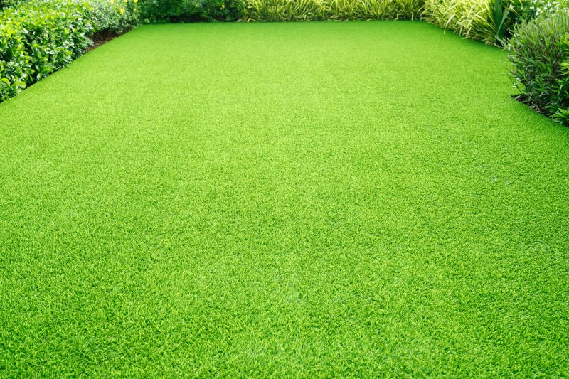 Healthy Lawn After Aeration
