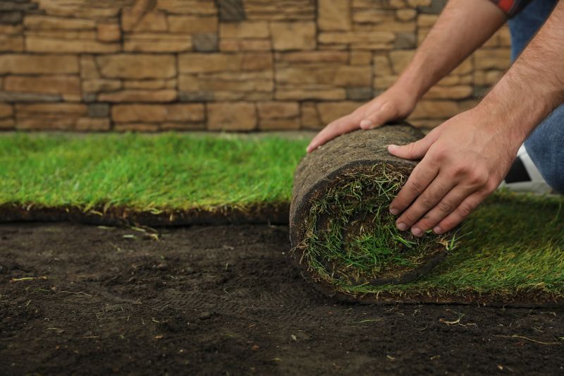 Ryegrass Sod Installation in Rockwall, TX