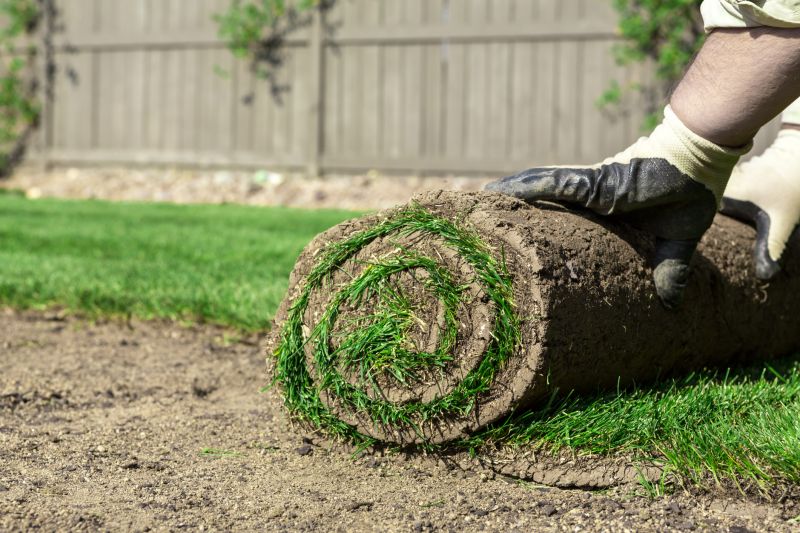 Sod Installation in Ventura County, CA