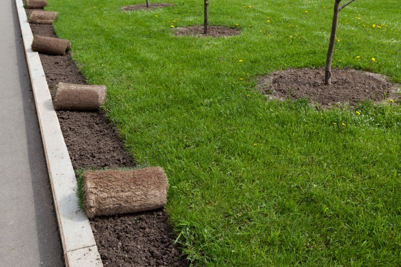 Sod Landscaping in Aiken, SC