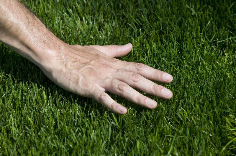Turfing Service in Rockwall, TX