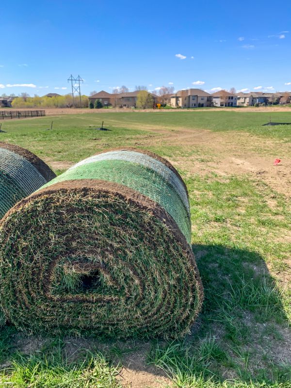 Yard Sod Replacement in Rockwall, TX